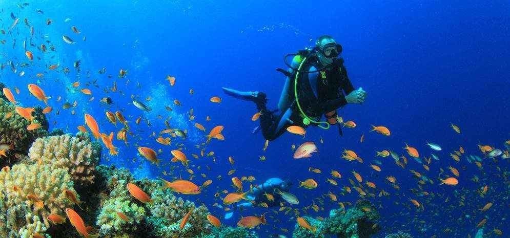 Five Things You Need to Know About Scuba Diving in Goa