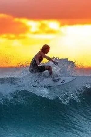 Wave Surfing Rental