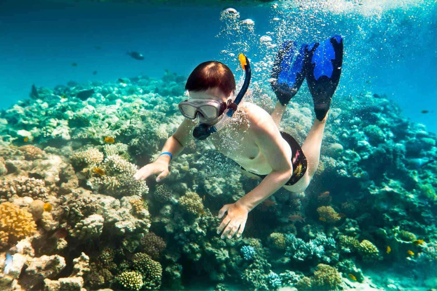 5 Best Places for Snorkeling in Goa