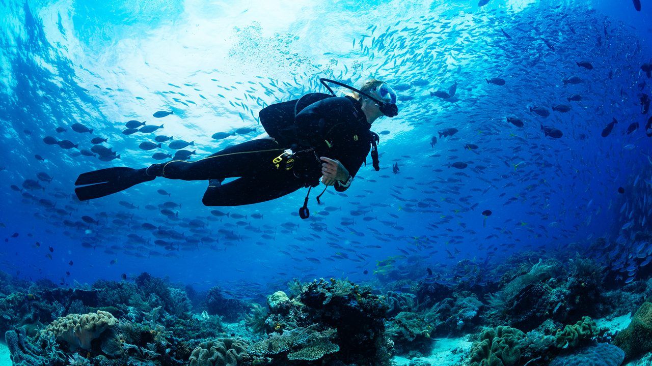 Best Places For Scuba Diving In India