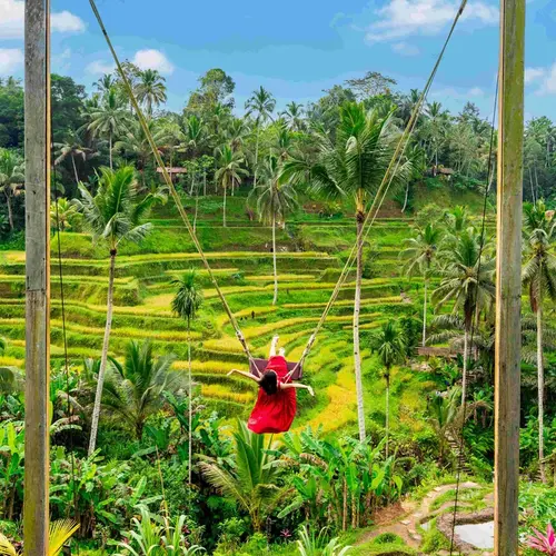 Ubud Tourism