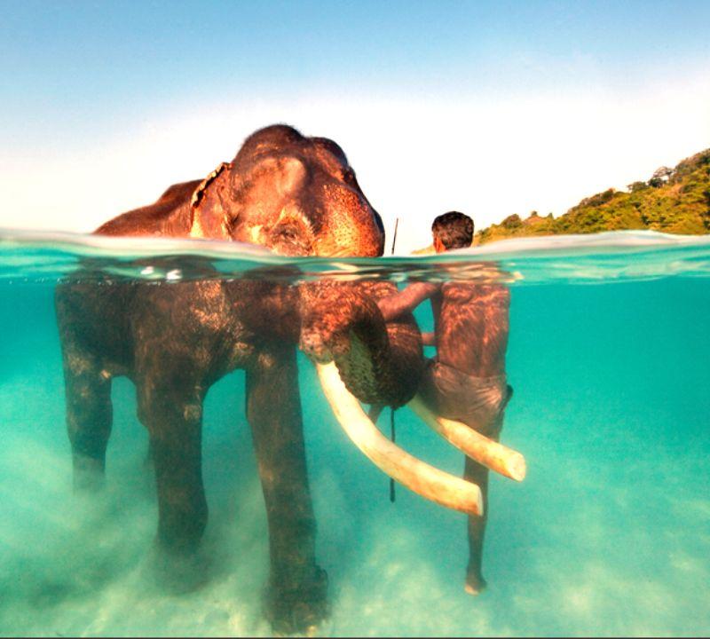 Andaman Tour Package 7 Nights 8 Days with Havelock & Neil