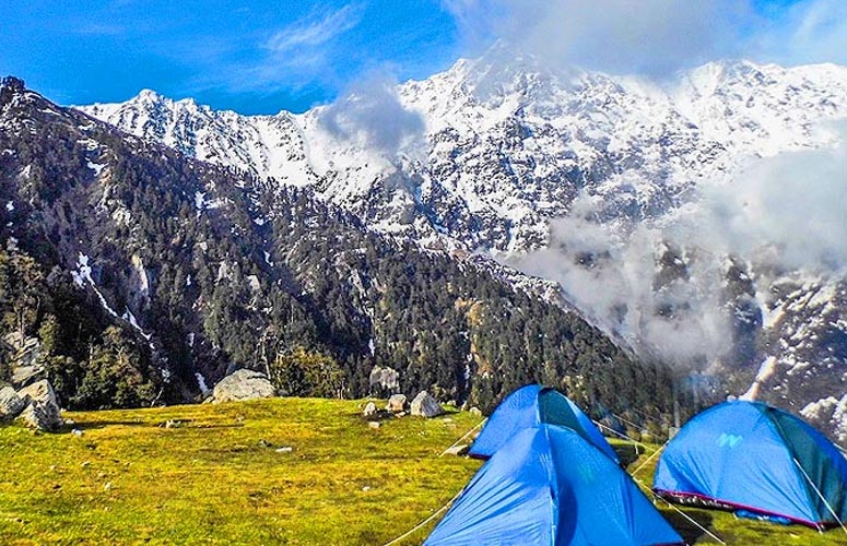 Triund Trek - The Crown Jewel of Dharamshala Himalayas